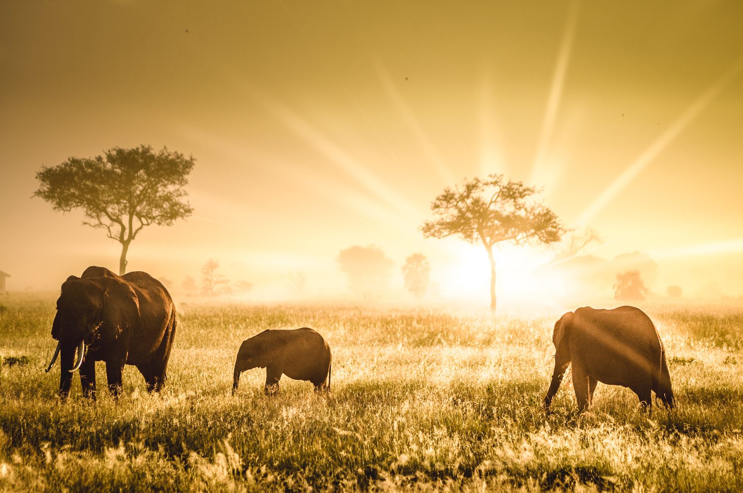 14 Days Tanzania Classic Safari Route Map